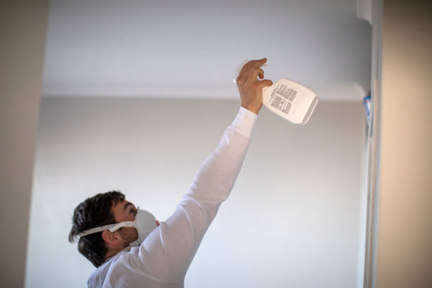 Best Best Mold Removal Companies  in Burns Flat, OK