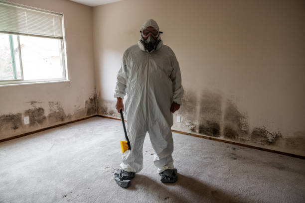 Best Residential Mold Removal  in Burns Flat, OK